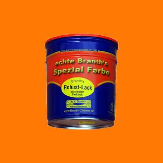 Branths Robust paint (quick drying) can 0.75 l orange RAL 2000