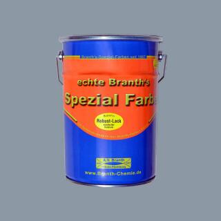 Branths Robust paint (quick drying) 5 liters silver gray RAL 7001